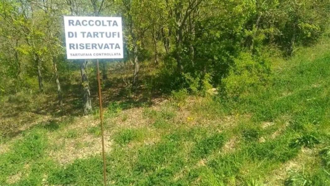 Juliet Holiday House Villa Castiglione In Teverina Екстериор снимка